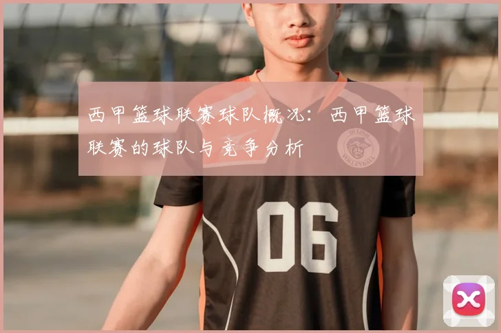 西甲篮球联赛球队概况:西甲篮球联赛的球队与竞争分析